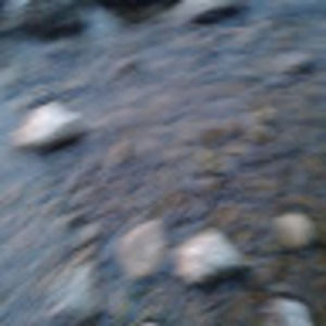 Meet your Posher, Ben